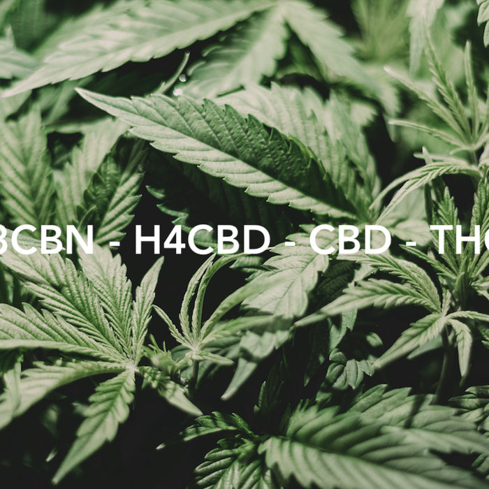 Comparatif entre H3CBN, H4CBD, CBD et THC