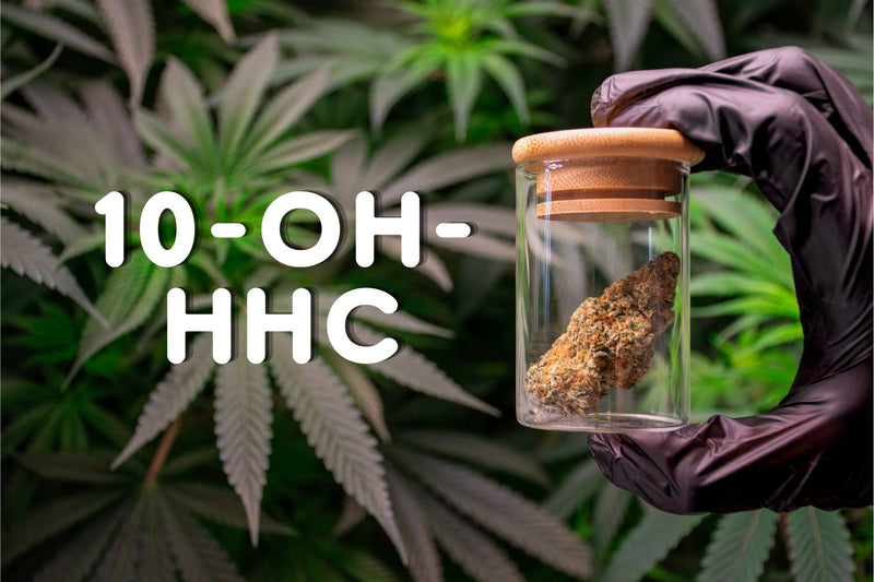 All About 10-OH-HHC: A New Dimension of the Cannabinoid KroMood All About 10-OH-HHC: A New Dimension of the Cannabinoid KroMood