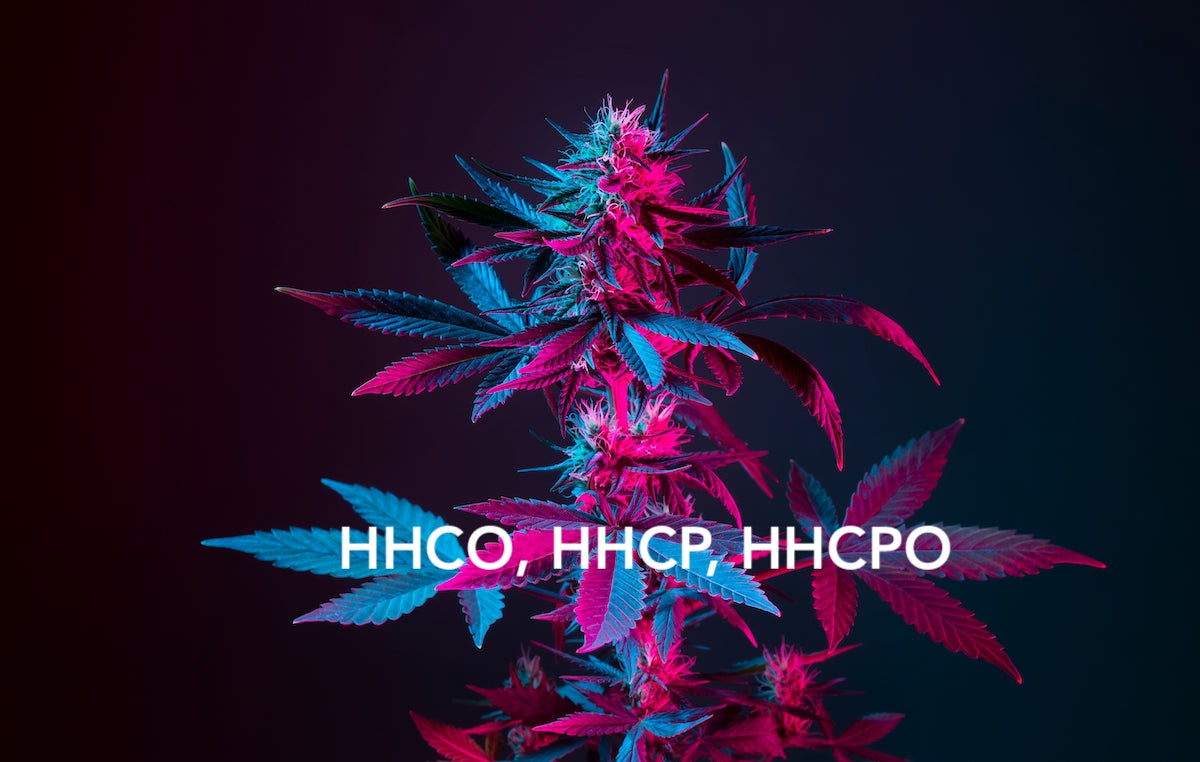 Comparison between HHCO, HHCP, and HHCPO — KroMood