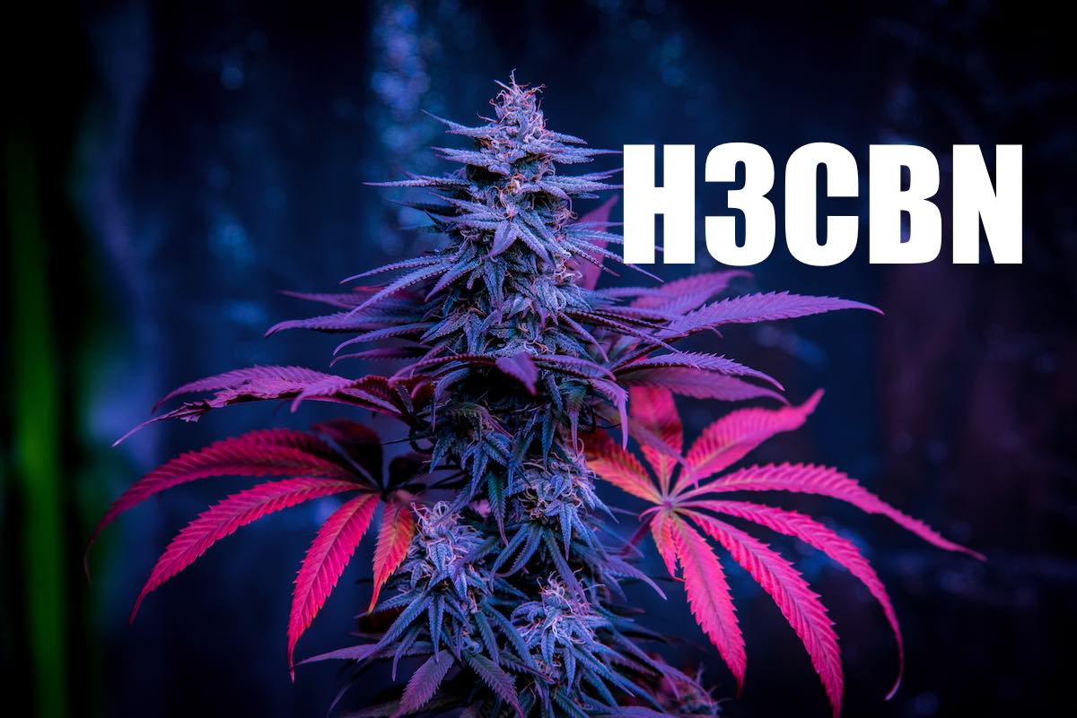 H3CBN New Cannabis Molecule All You Need To Know About H3CBN KroMood h3cbn-new-cannabis-molecule-all-you-need-to-know-about-h3cbn-kromood