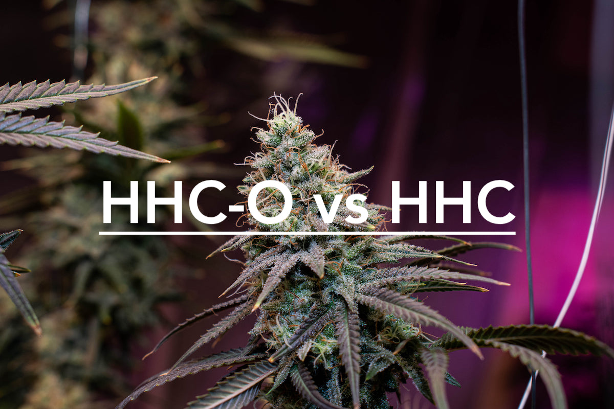 HHC-O et HHC: que savoir sur les différences et les ressemblances ?