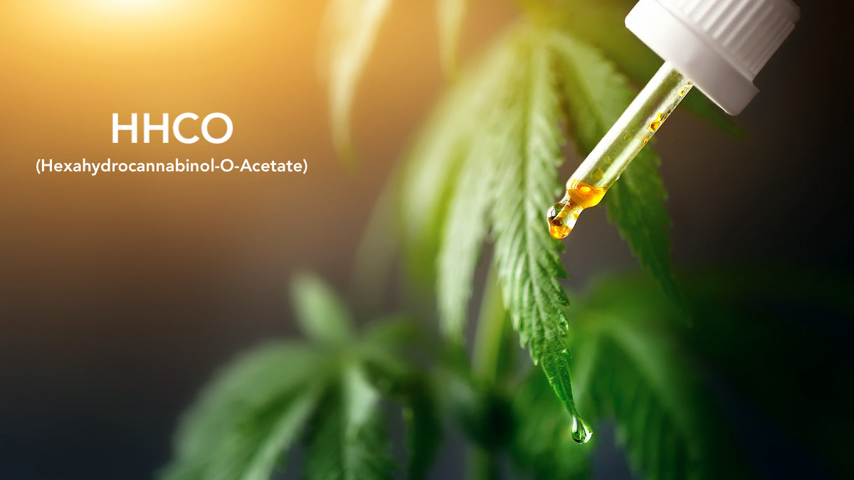 HHCO (Hexahydrocannabinol-O-Acetate) : Le Nouveau Cannabinoïde