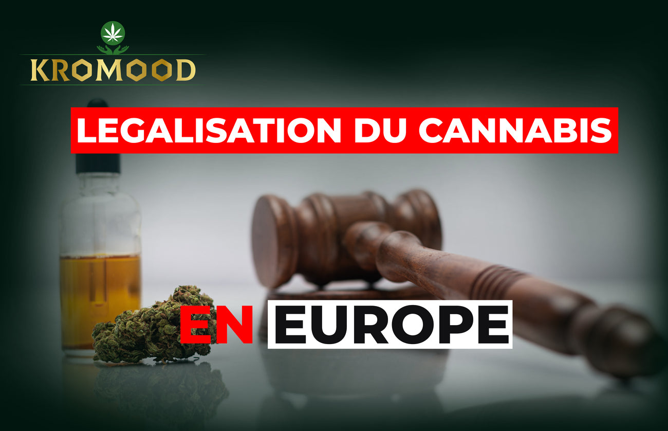 À quel stade se trouve la légalisation du cannabis en Europe ?
