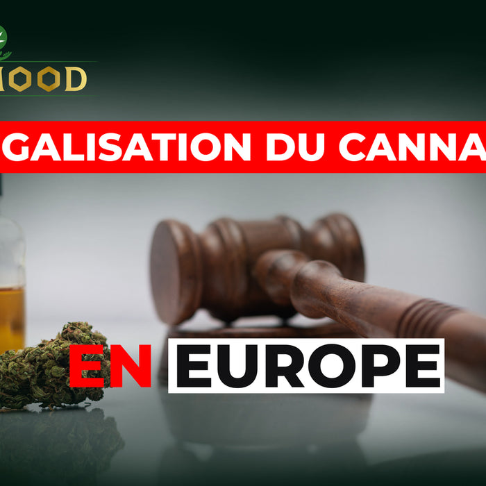 À quel stade se trouve la légalisation du cannabis en Europe ?