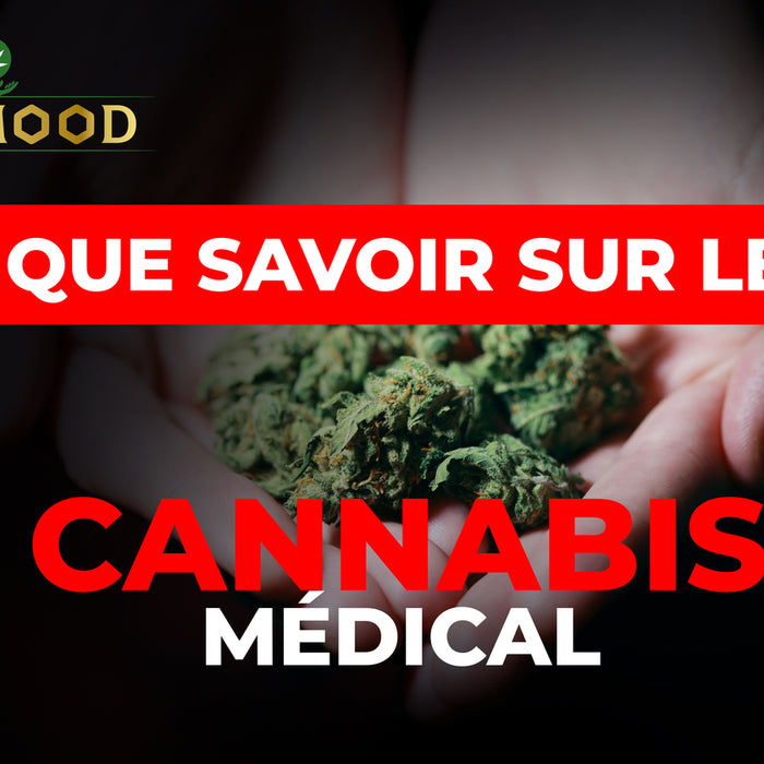 Que savoir sur le cannabis médical ?