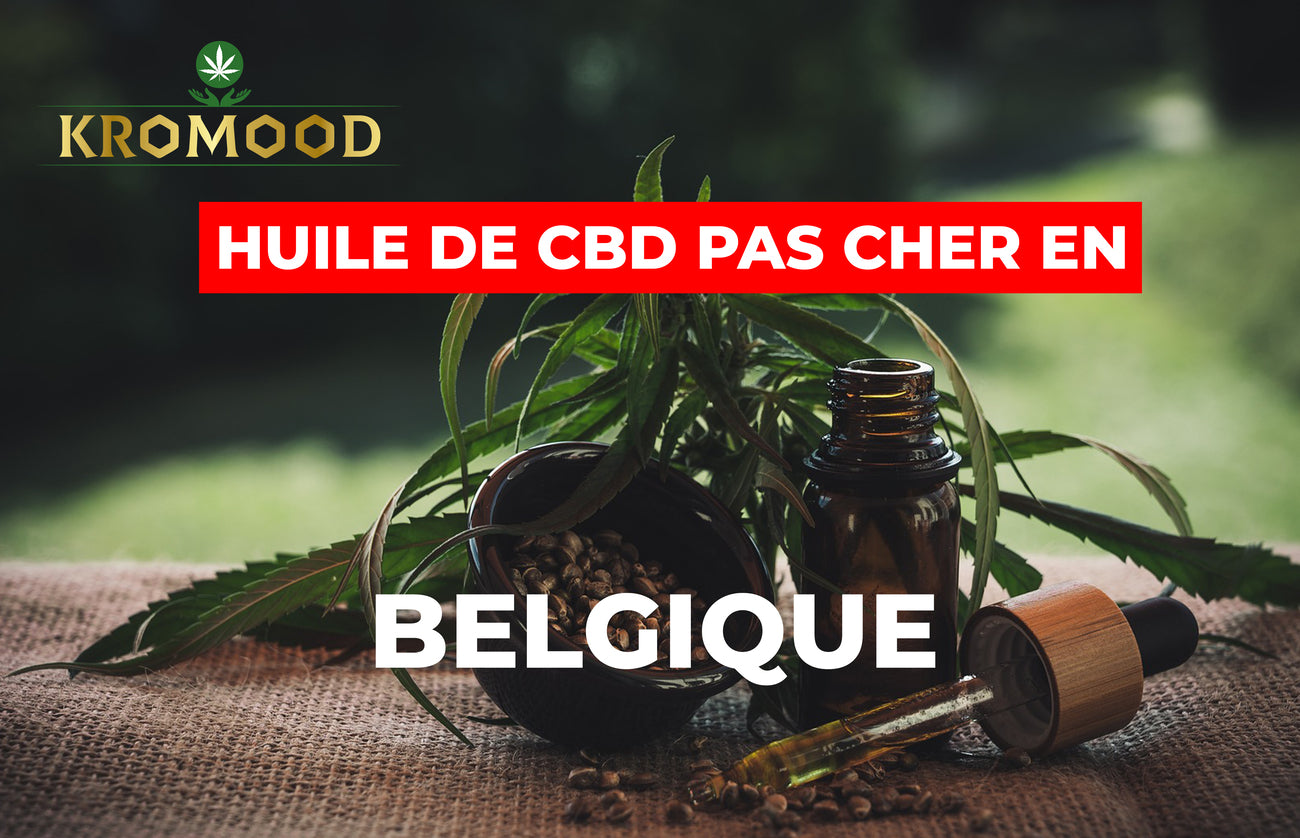 Comment trouver de l’huile de CBD pas cher en Belgique ?