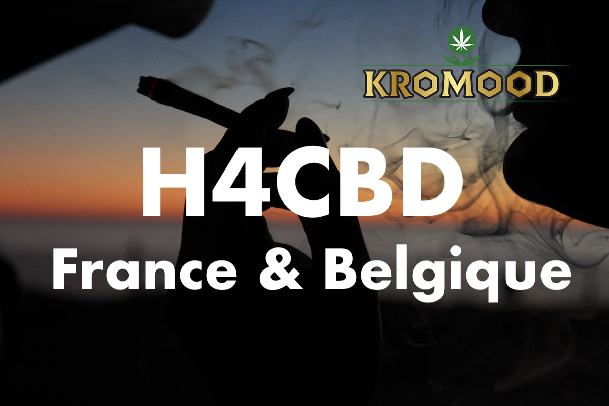 Tout ce qu’il faut savoir sur le H4CBD