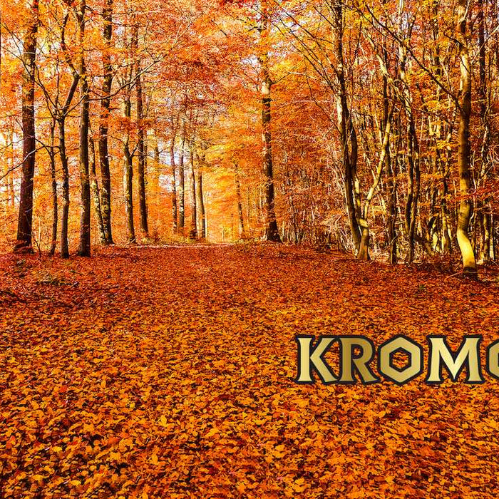 Tendances CBD de la Saison : Découvrez les Produits Phares de Kromood