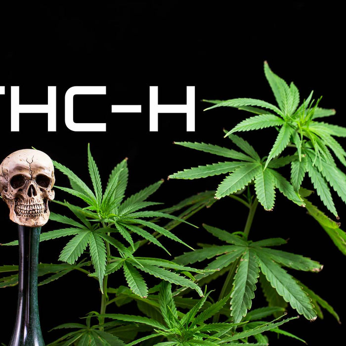 THC-H : L'émergence d'une Puissance Cannabinoïde Révolutionnaire !