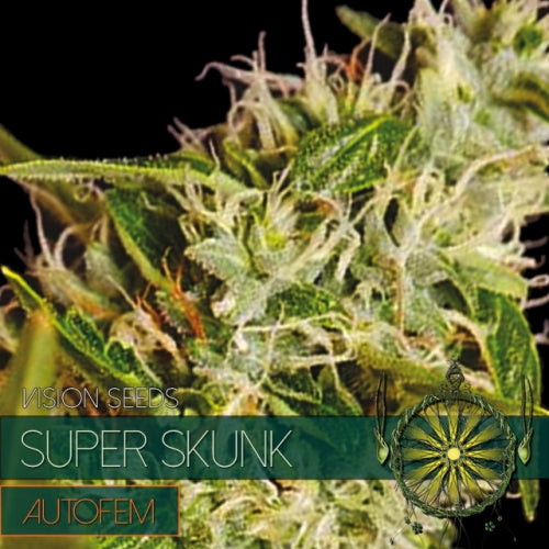 Vision Seeds - Graine de Cannabis - Super Skunk Auto