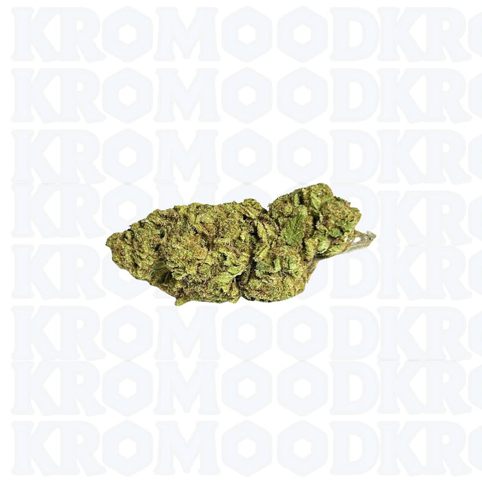 Bloem 10-OH-HHC - Orange Bud 25%