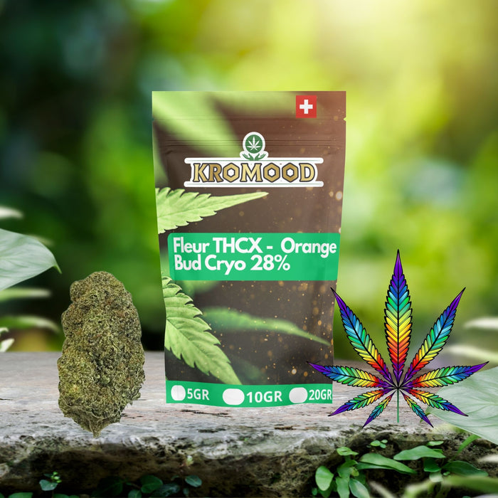 Orange Bud Cryo THCX 28%
