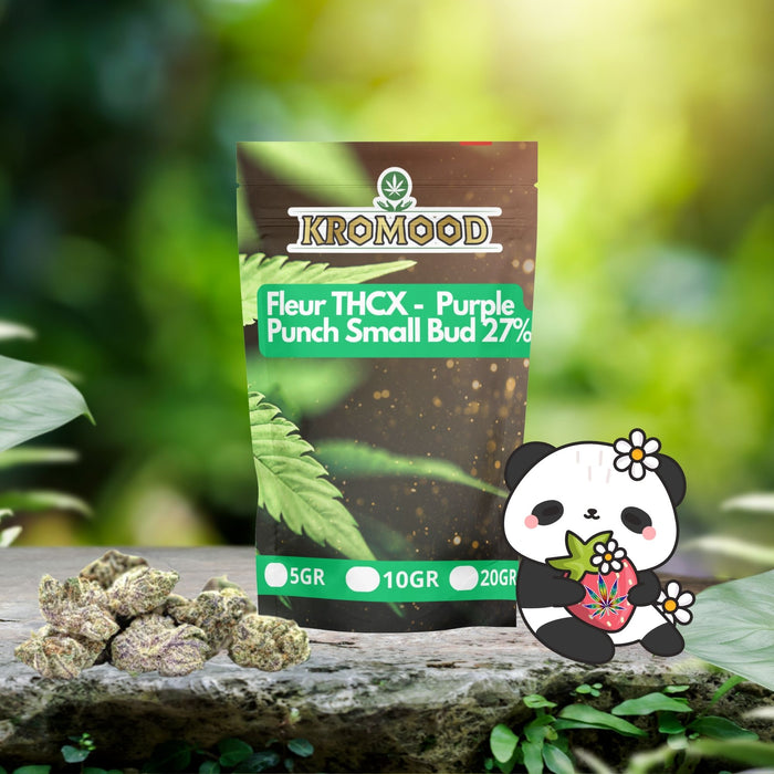 Purple Punch Small Bud THCX 27%