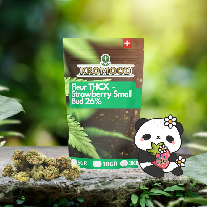 Strawberry Small Bud THCX 26%