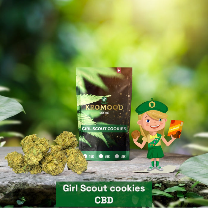 CBD-Bloem - Girl Scout Cookie