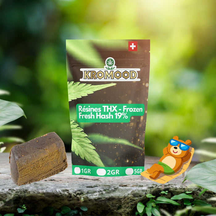 Résines THX - Frozen fresh hash 19%