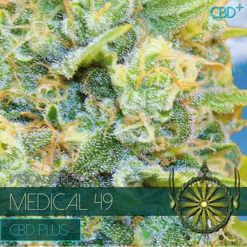 Vision Seeds - Graine de Cannabis - Medical 49 - CBD+