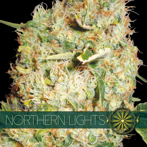 Vision Seeds - Graine de Cannabis - Northern Lights