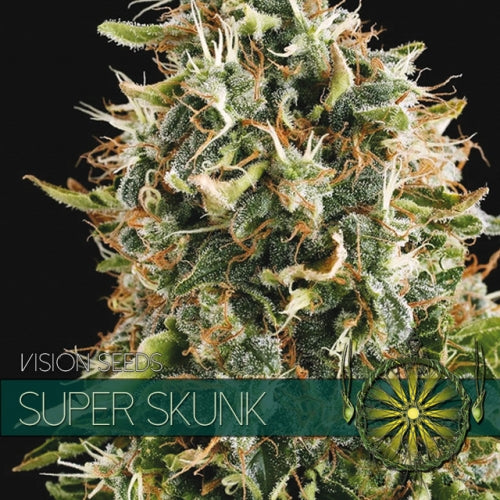 Vision Seeds - Graine de Cannabis - Super Skunk